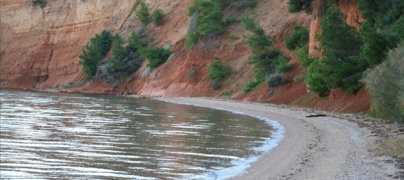 1200m² Property in Euboea, Greece No. 5826 14