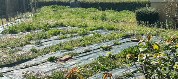 4 Schlafzimmer Haus in Sable-sur-Sarthe, France, Nr. 312594 2