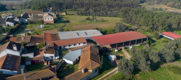 3 bedrooms House in Leiria, Portugal No. 162296 6