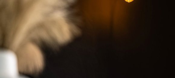 3 bedrooms Apartment in Torrevieja, Spain No. 96649 20