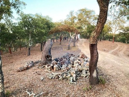 Grundstück in Grandola, Portugal, Nr. 70908