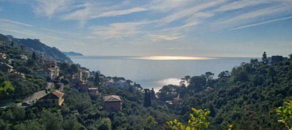 6-salle Villa à Zoagli, Italy No. 63400 7