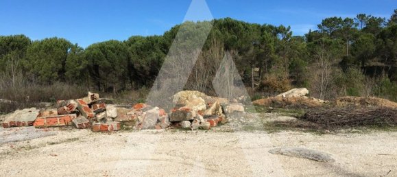  قطعة أرض في Coimbra, Portugal 4950متر مربع رقم 73989 3