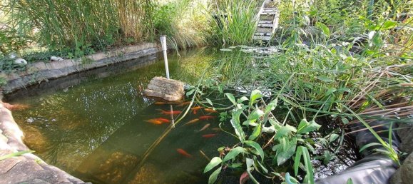 2 rooms House in Tulln an der Donau, Austria No. 244384 6