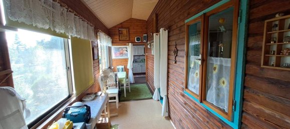 2 rooms House in Tulln an der Donau, Austria No. 244384 4