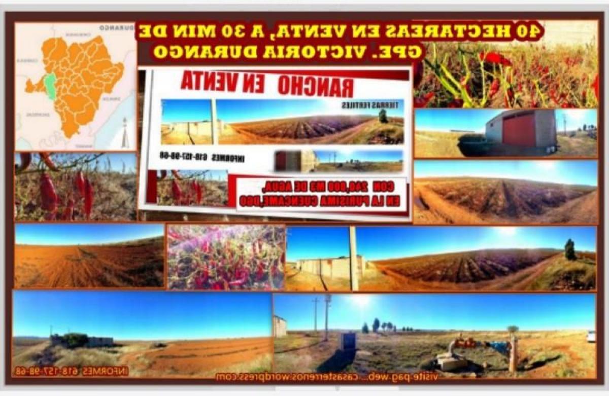 Studio in Ciudad Lerdo, Mexico No. 190031