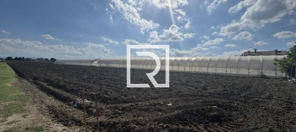 7 bedrooms Villa in Cesenatico, Italy No. 345006 12