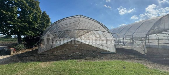 7 bedrooms Villa in Cesenatico, Italy No. 345006 25