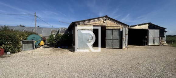 7 bedrooms Villa in Cesenatico, Italy No. 345006 10