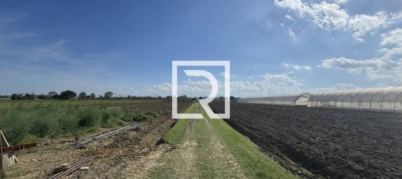 7 bedrooms Villa in Cesenatico, Italy No. 345006 14