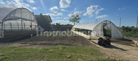 7 bedrooms Villa in Cesenatico, Italy No. 345006 24