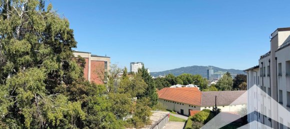 3 غرف نوم شقة في Linz, Austria رقم 241539 7