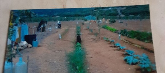  Land in Porto Torres, Italy No. 365062 2