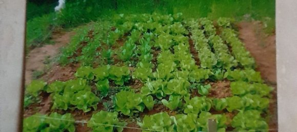  Land in Porto Torres, Italy No. 365062 3