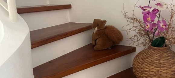 3 bedrooms Villa in Chloraka, Cyprus No. 23316 7