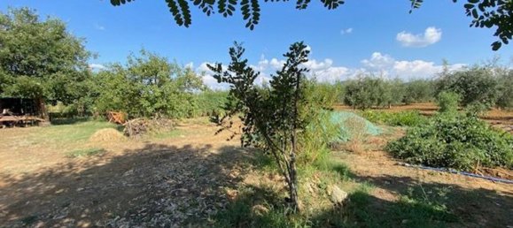 قطعة أرض في Grosseto, Italy 10000متر مربع رقم 283425 22