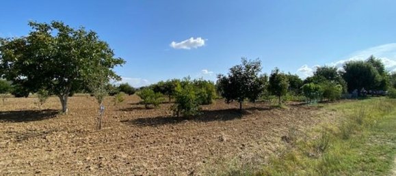 قطعة أرض في Grosseto, Italy 10000متر مربع رقم 283425 13