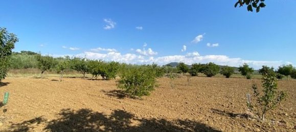 قطعة أرض في Grosseto, Italy 10000متر مربع رقم 283425 15