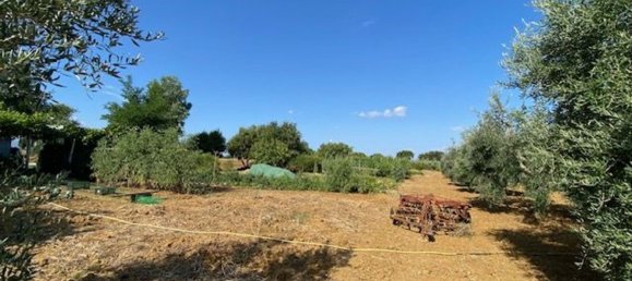 قطعة أرض في Grosseto, Italy 10000متر مربع رقم 283425 9