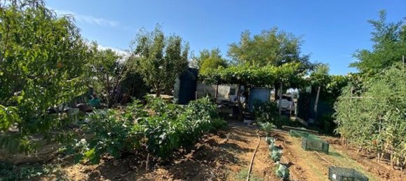 قطعة أرض في Grosseto, Italy 10000متر مربع رقم 283425 10