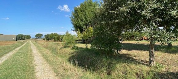 قطعة أرض في Grosseto, Italy 10000متر مربع رقم 283425 4