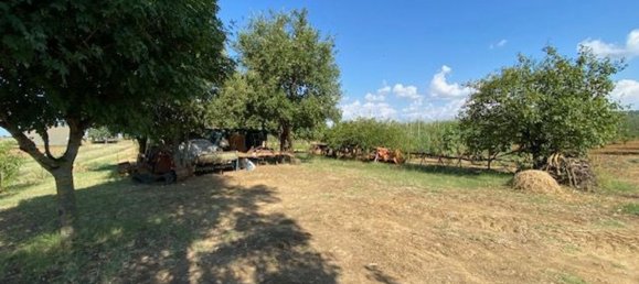 قطعة أرض في Grosseto, Italy 10000متر مربع رقم 283425 21