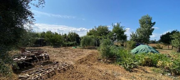 قطعة أرض في Grosseto, Italy 10000متر مربع رقم 283425 8