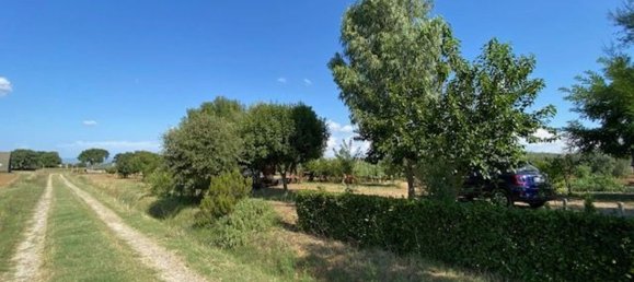 قطعة أرض في Grosseto, Italy 10000متر مربع رقم 283425 14