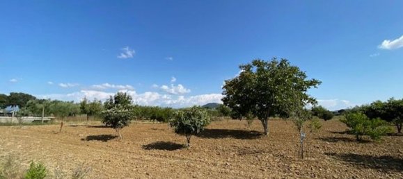 قطعة أرض في Grosseto, Italy 10000متر مربع رقم 283425 12