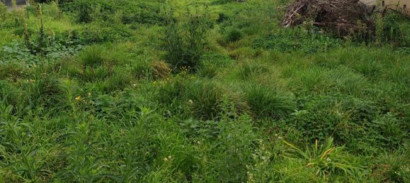 Grundstück in Preseau, France, Nr. 218149 4