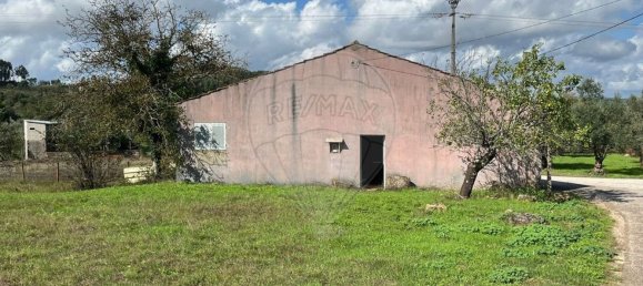 2 bedrooms House in Ferreira do Zezere, Portugal No. 29816 3