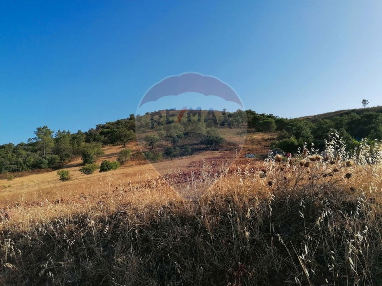 Terrain à Salir, Portugal 9090m² No. 49510