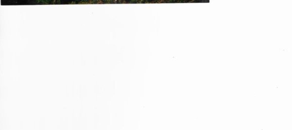 3 غرف نوم تاون هاوس في Main-Kinzig, Germany رقم 294404 5