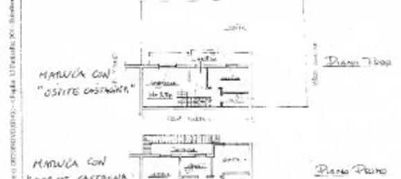 7 rooms Villa in Luni, Italy No. 33227 27