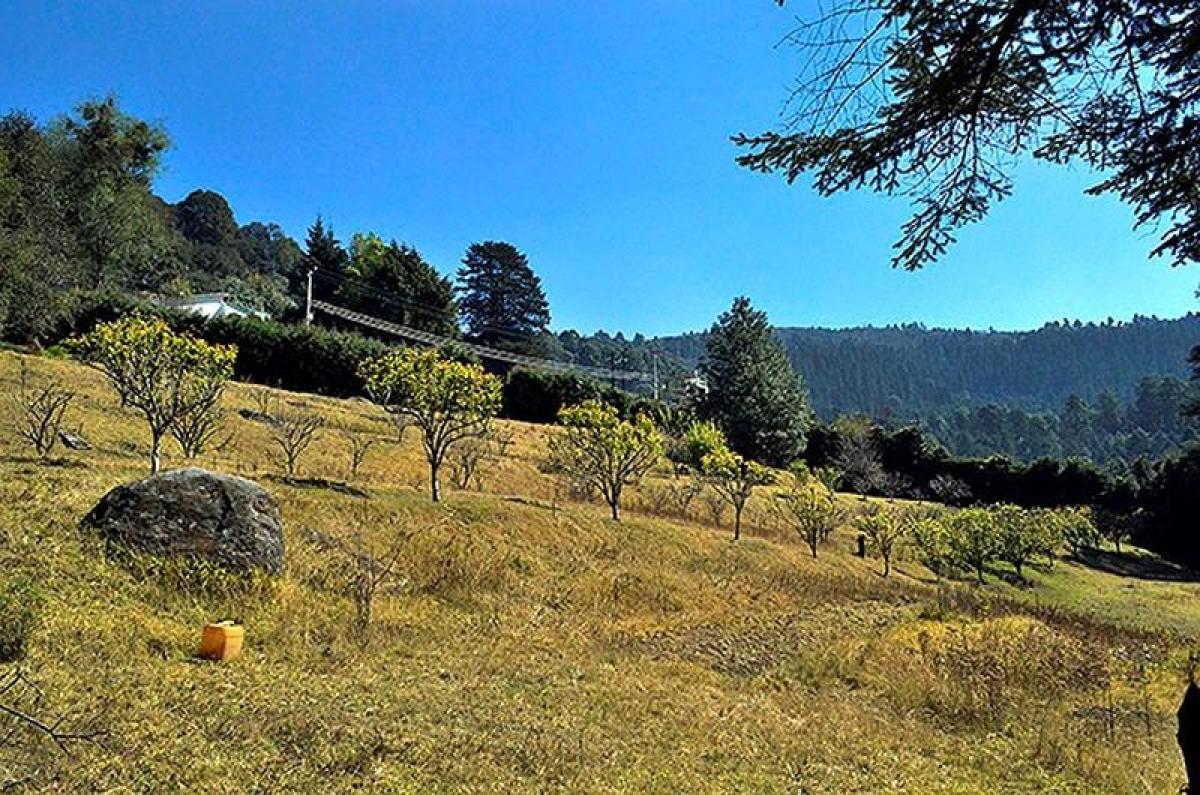 Terreno em Mexico N.º 203493