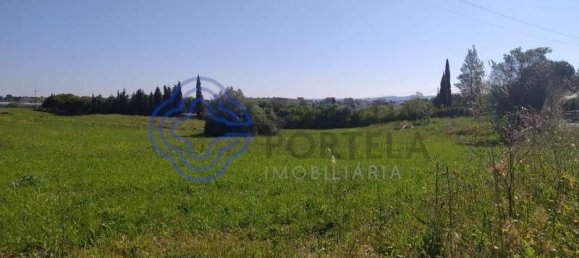 Земельный участок 13720м² в Томар, Португалия № 79605 7