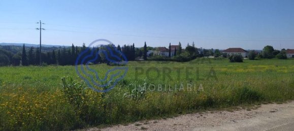 Земельный участок 13720м² в Томар, Португалия № 79605 4