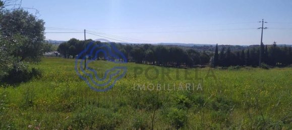 Земельный участок 13720м² в Томар, Португалия № 79605 6