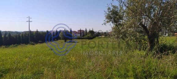 Земельный участок 13720м² в Томар, Португалия № 79605 3