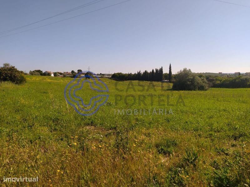 Земельный участок 13720м² в Томар, Португалия № 79605