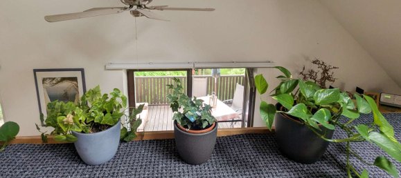 10غرفة بناية في Leipzig, Germany رقم 238883 29