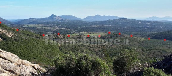 Terrain à Berchidda, Italy 535657m² No. 119610 12