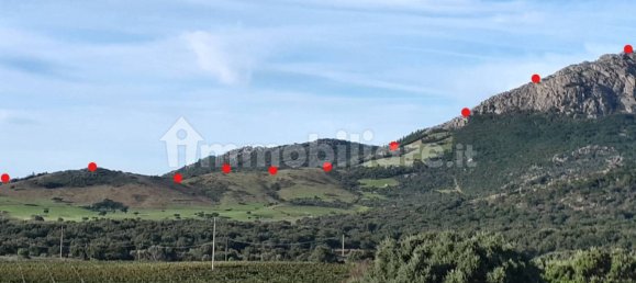 Terrain à Berchidda, Italy 535657m² No. 119610 5