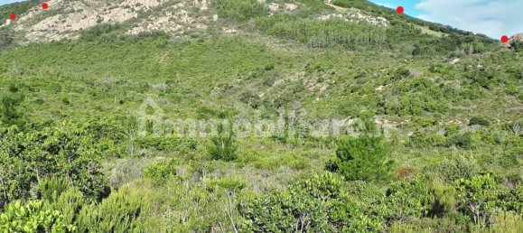 Terrain à Berchidda, Italy 535657m² No. 119610 9