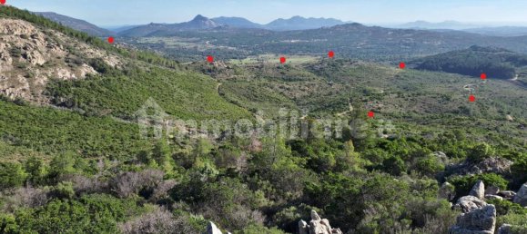 Terrain à Berchidda, Italy 535657m² No. 119610 10