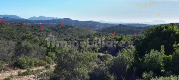 Terrain à Berchidda, Italy 535657m² No. 119610 20