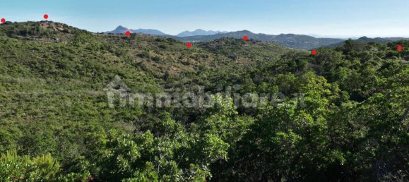 Terrain à Berchidda, Italy 535657m² No. 119610 16