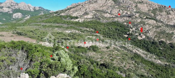 Terrain à Berchidda, Italy 535657m² No. 119610 14