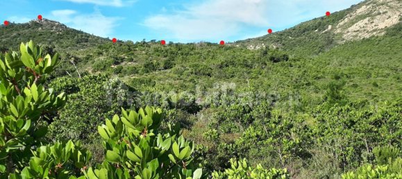 Terrain à Berchidda, Italy 535657m² No. 119610 7