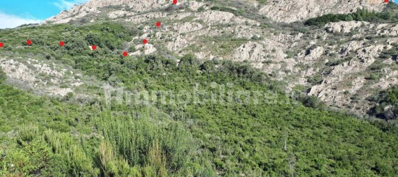 Terrain à Berchidda, Italy 535657m² No. 119610 13